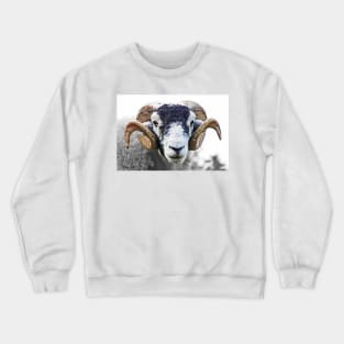 Swaledale Ram Crewneck Sweatshirt